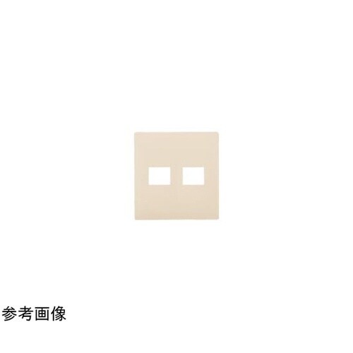 簡易耐火コンセントプレート2コ用 WTL