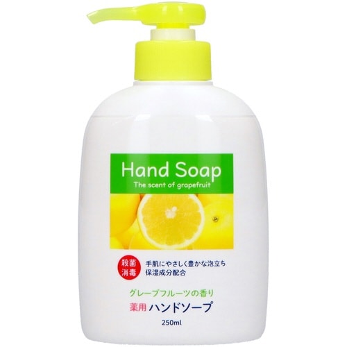 第一石鹸薬用ハンドソープ本体250ML×6