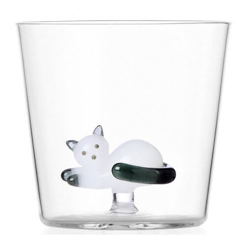 イッケンドルフミラノ Tabby cat A