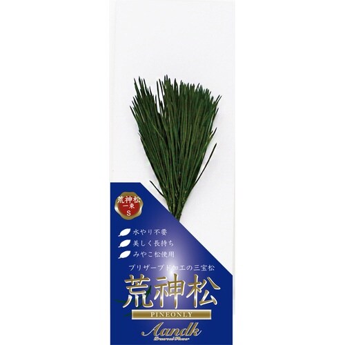 関東式荒神松S(1束)