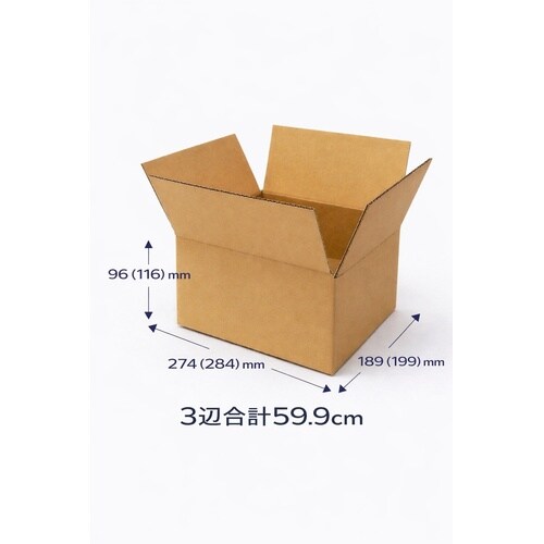 ダンボール SAO B5用S 10枚入