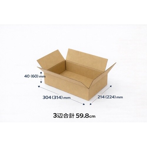 ダンボール SAO A4用S 10枚入