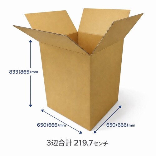 ダンボール SAO 5L 5枚入
