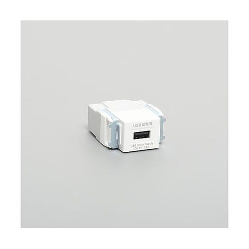 埋込USB給電コンセント白 A100W