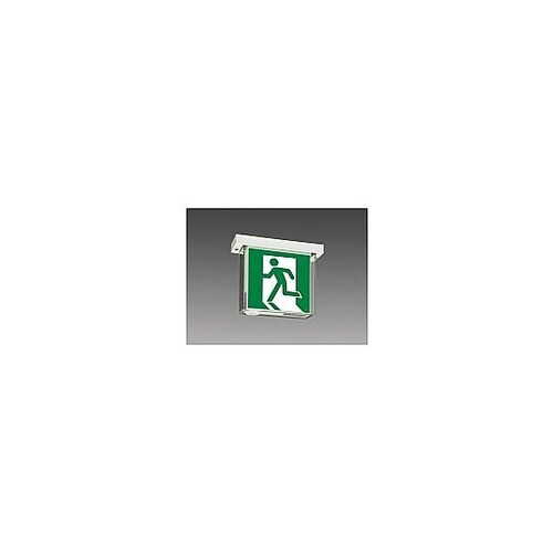 LED誘導灯B級BL片面直付 (セット品