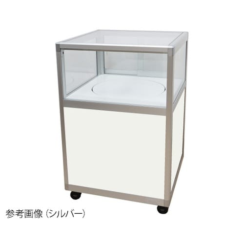 CS6−60(TTSC)ターンケース 銀
