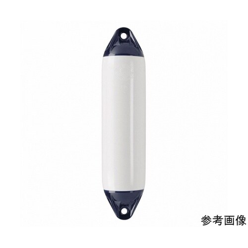 F11White 100730フェンダー