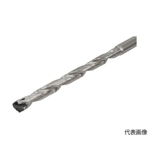 DCN06507808C12Dスモウカム