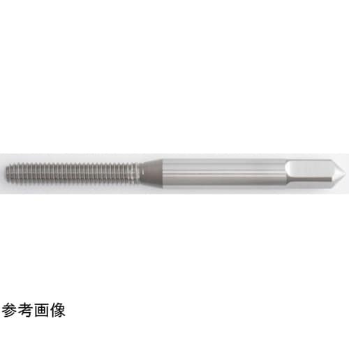 タフレット−L 1パック(10本入) T