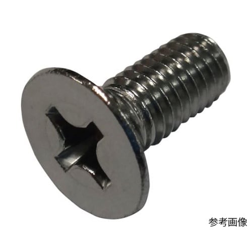 皿頭小ねじ ステンレス 6×15 500
