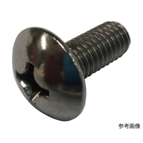 トラス頭小ねじ ステンレス 10×20