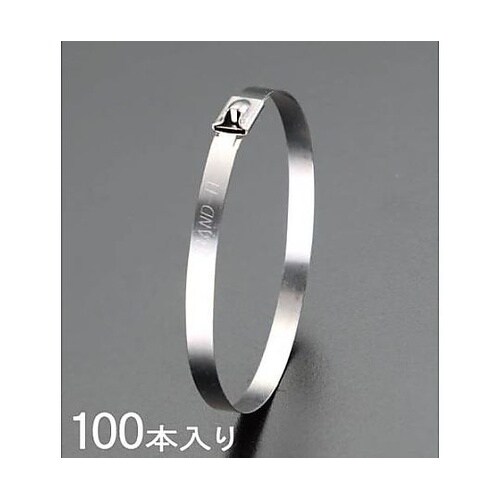 4.6x200mm 結束バンド(SUS3