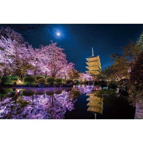 パズル 月夜に咲く(京都)