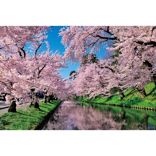 パズル 桜雲の弘前公園(青森)