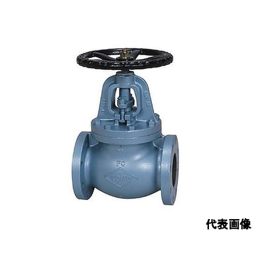 FC要部BRZグローブ弁 J10FGF_