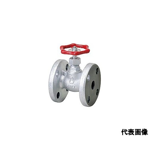 マレブル汎用玉形弁【フランジ】 HM10