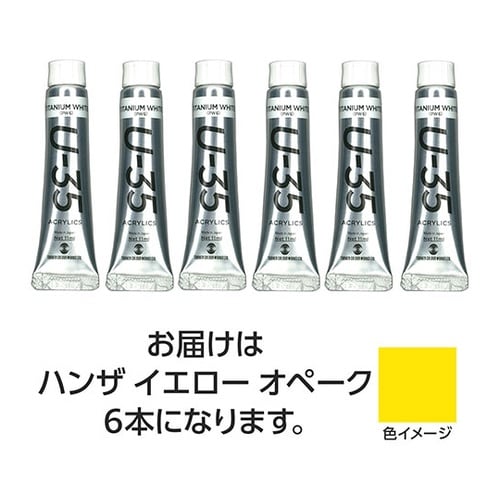 【6本×5セット】 U35 ハンザイエロ