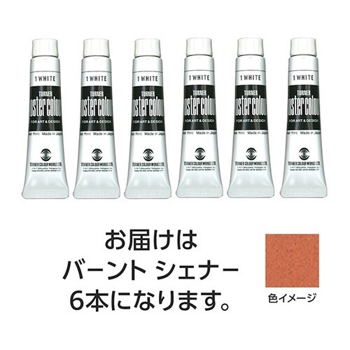 【6本×5セット】 ポスターカラー 11
