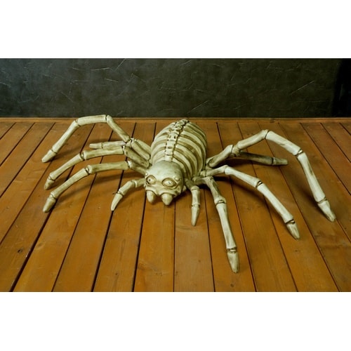 ムービングスカルスパイダー 6個入