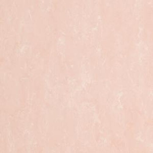 フェイソールプルス FPT2075 14枚
