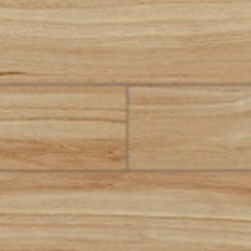 ルースレイ50NW−EX TTN3105 12枚