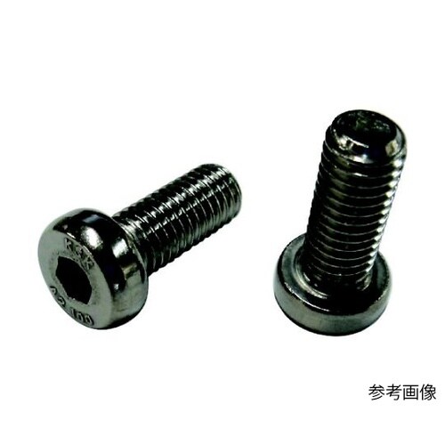 ローヘッド六角穴付きボルト SUS304