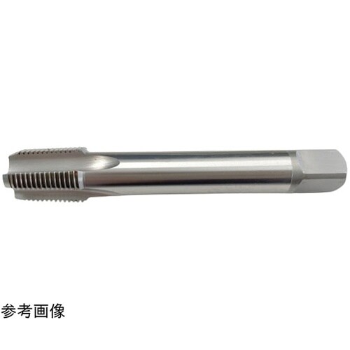 LS管TPネジHT短ネジ(TSPT04−