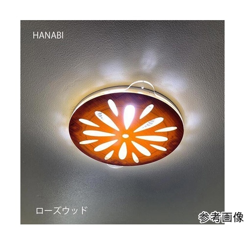ツケレルンダウンライトキャップ(HANA