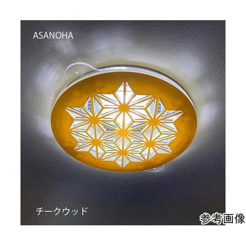 ツケレルンダウンライトキャップ(ASAN