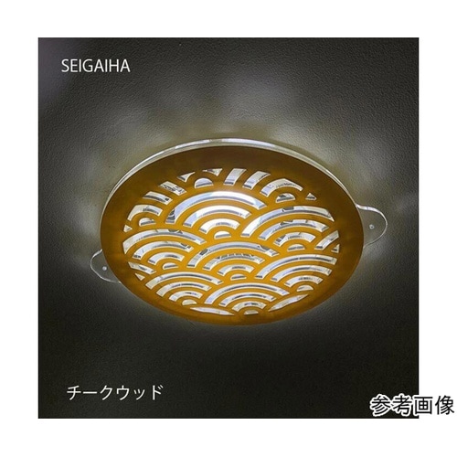 ツケレルンダウンライトキャップ(SEIG