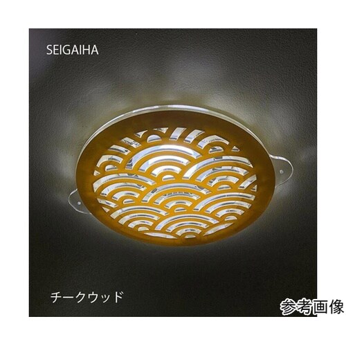 ツケレルンダウンライトキャップ(SEIG