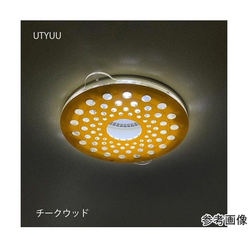 ツケレルンダウンライトキャップ(UTYU