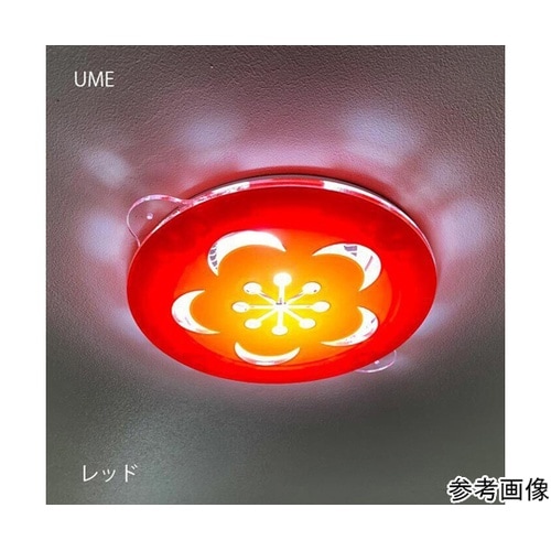 ツケレルンダウンライトキャップ(UME