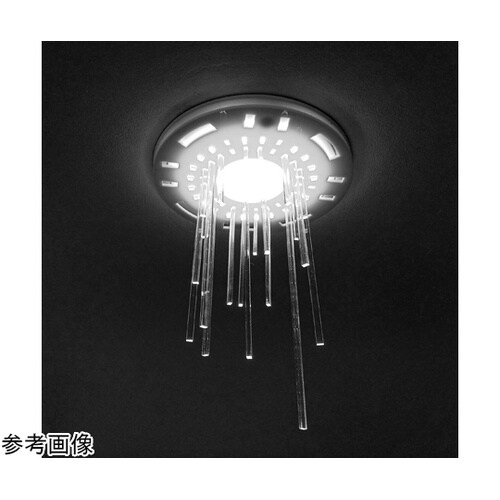 ツケレルンダウンライトキャップ(tsur