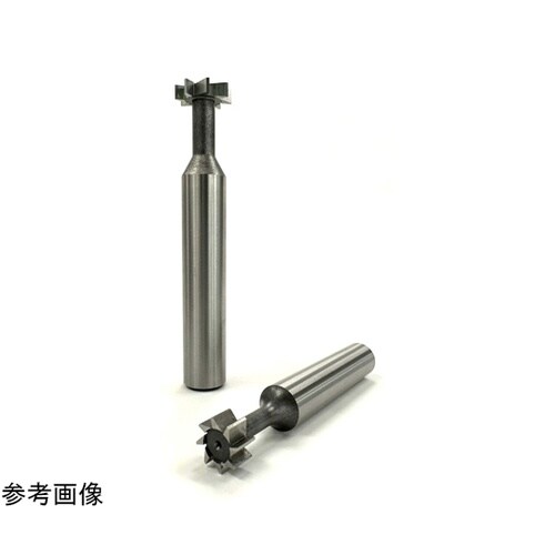 Tスロットカッター 刃径20D 刃幅3l
