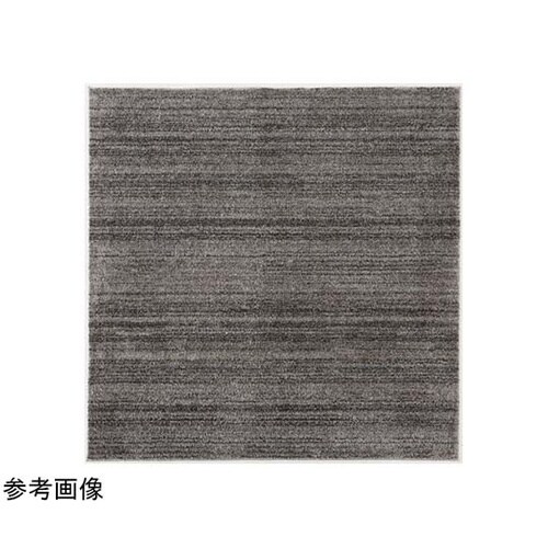 防炎 防音 ナイロンラグ リュストル 2