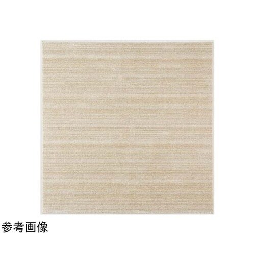 防炎 防音 ナイロンラグ リュストル 1