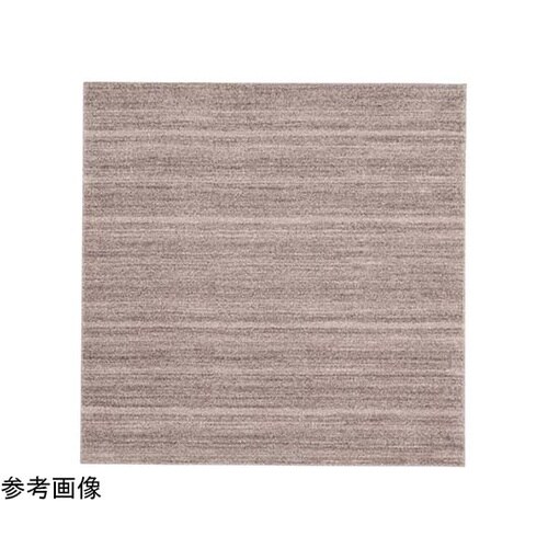 防炎 防音 ナイロンラグ リュストル 2