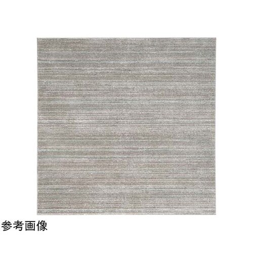 防炎 防音 ナイロンラグ リュストル 2