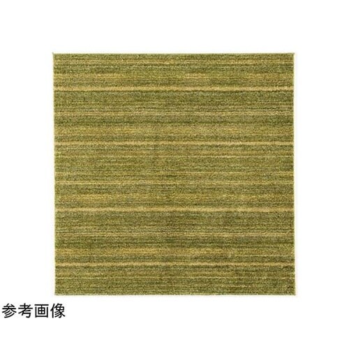 防炎 防音 ナイロンラグ リュストル 2