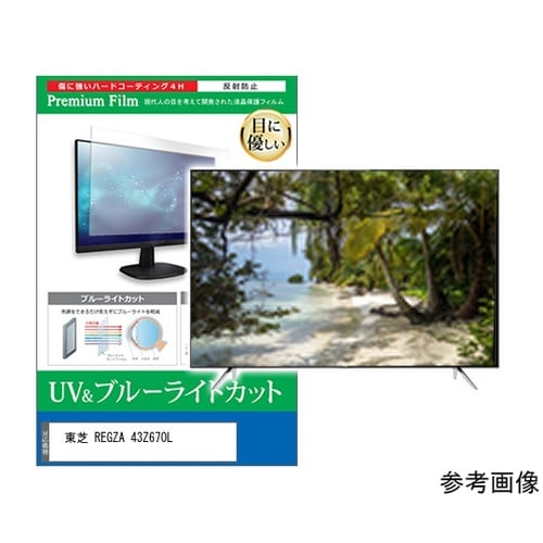 TV用 液晶保護フィルム 東芝 REGZ