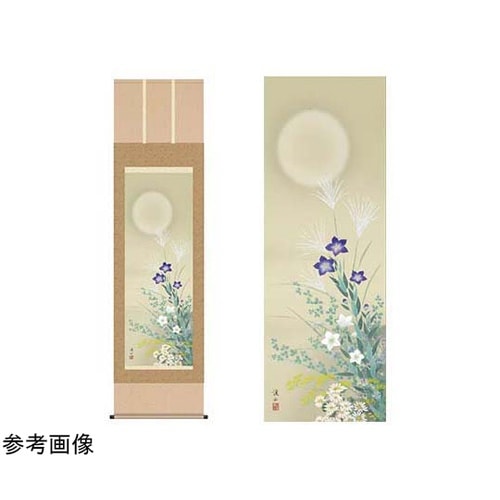 掛軸「名月に秋草」伊藤渓山筆 尺三 K1