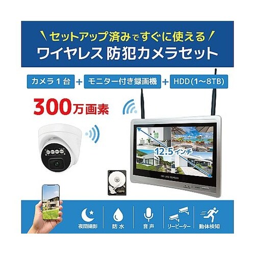 ワイヤレス300万画素ドーム型カメラ(1