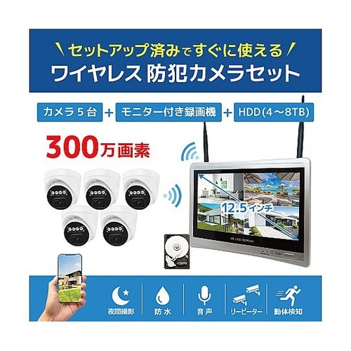 ワイヤレス300万画素ドーム型カメラ(5