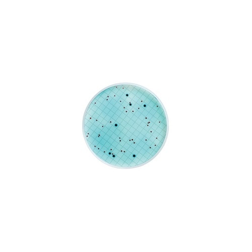 M00PMCB24 m−ColiBlue