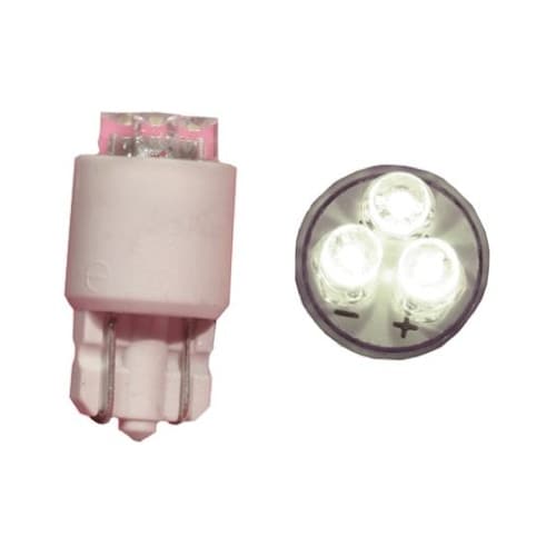 LED電球 白 定格電圧:12 V dc
