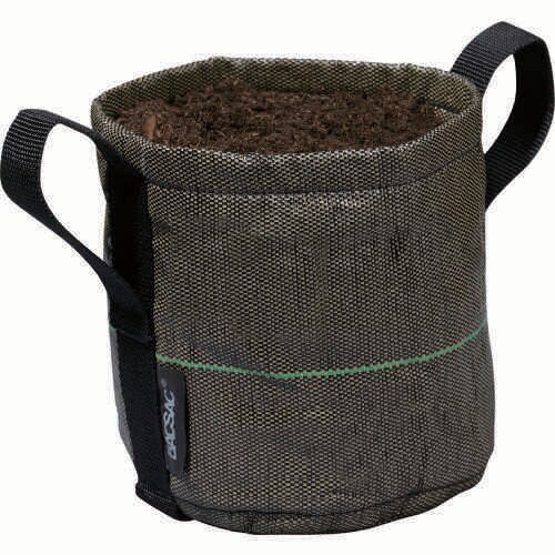 CLASSIC BS ポット3L