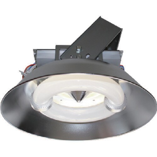 Lamp 3454