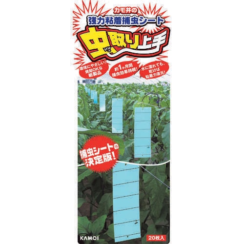 虫取り上手(青色) NO16246