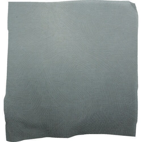 タングステンメッシュ#100